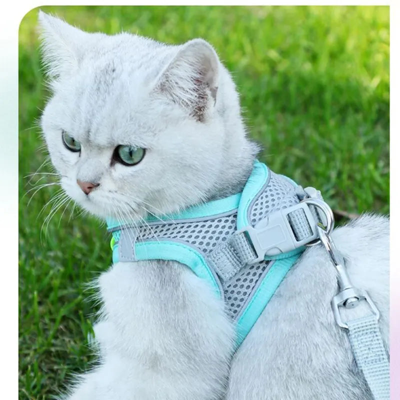 Comfortable Pet Harness and Leash