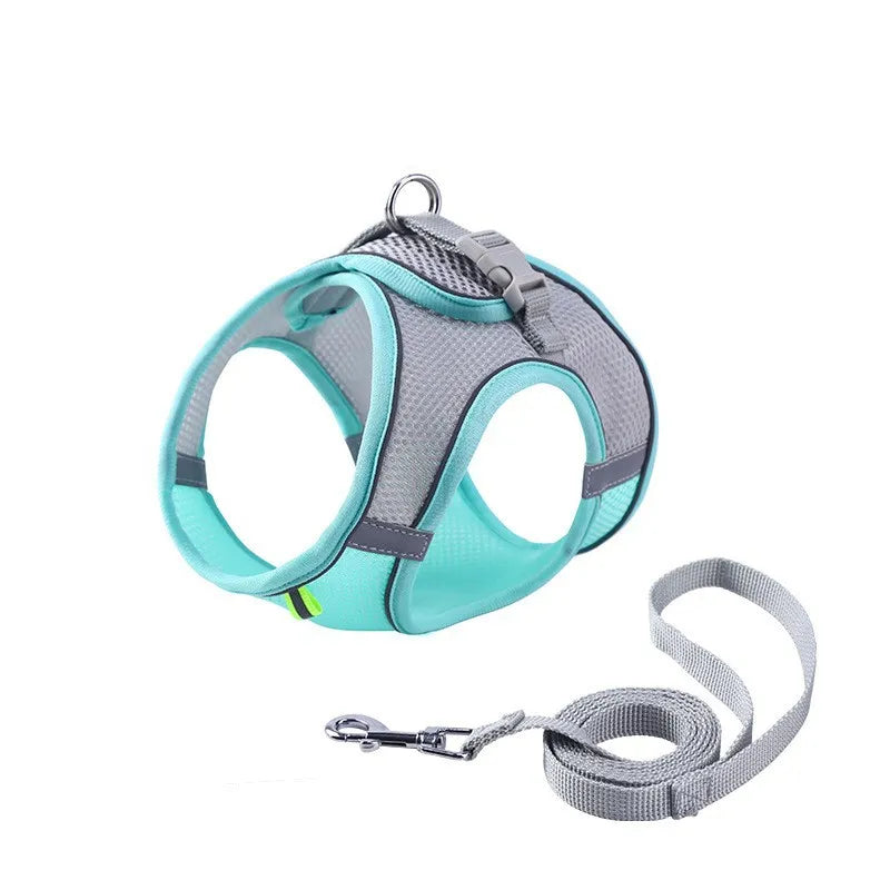 Comfortable Pet Harness and Leash