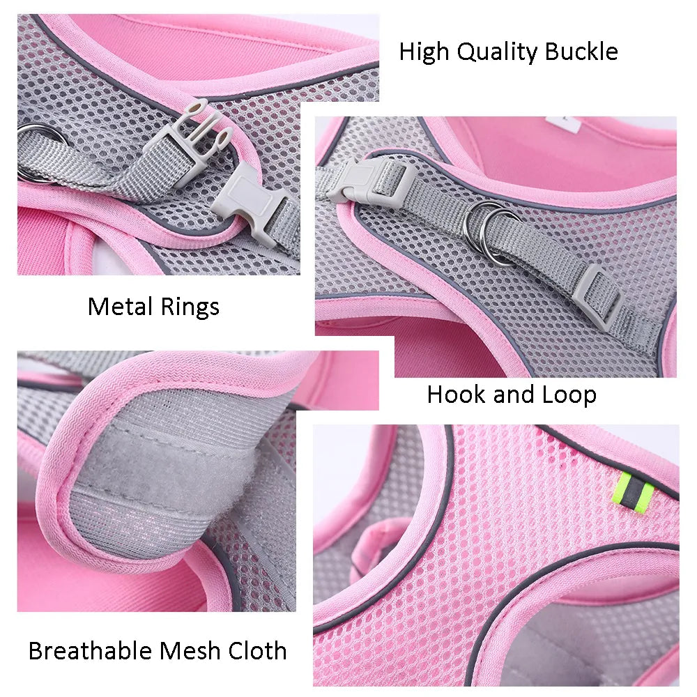 Comfortable Pet Harness and Leash