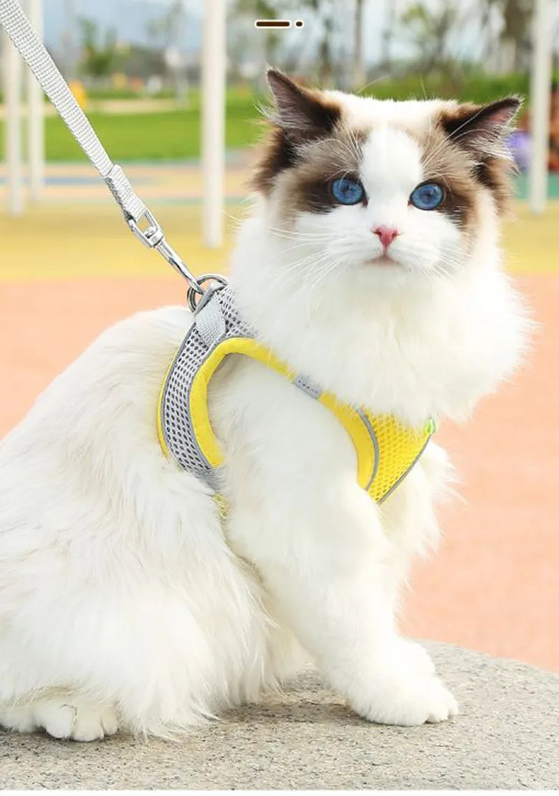 Comfortable Pet Harness and Leash