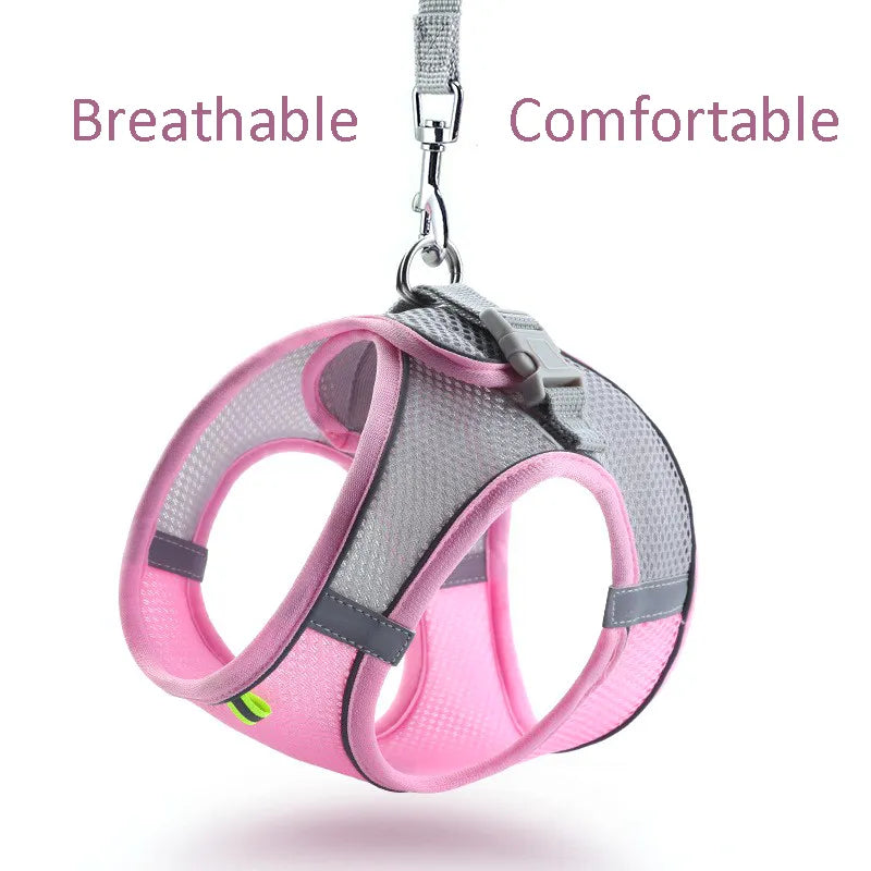 Comfortable Pet Harness and Leash