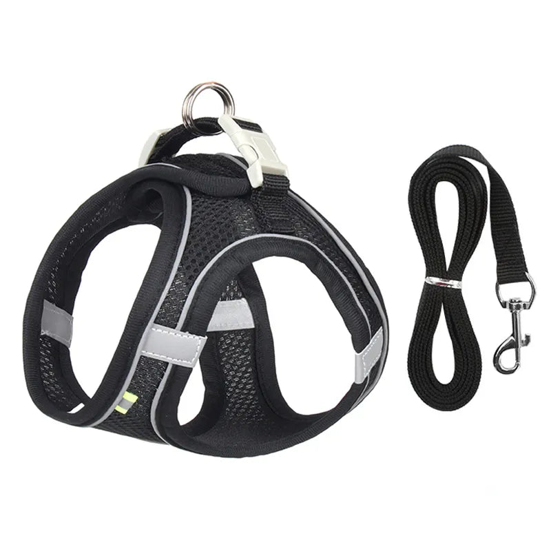 Comfortable Pet Harness and Leash