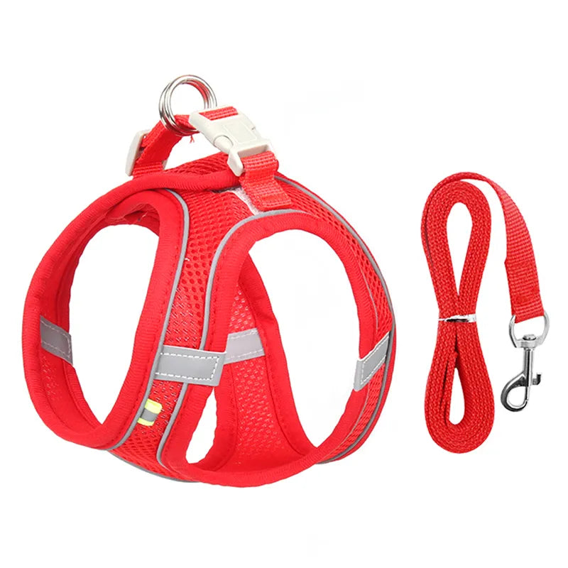 Comfortable Pet Harness and Leash